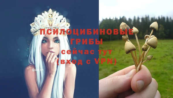ешки Белокуриха