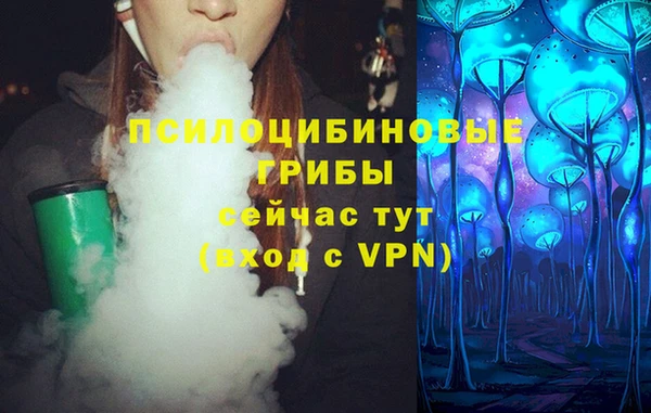 мдпв Беломорск