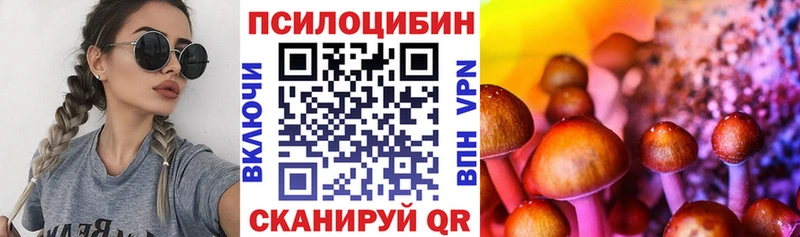 закладка Мостовской блэк спрут как войти Псилоцибиновые грибы прущие грибы